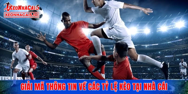 Giải mã thông tin về các tỷ lệ kèo tại nhà cái