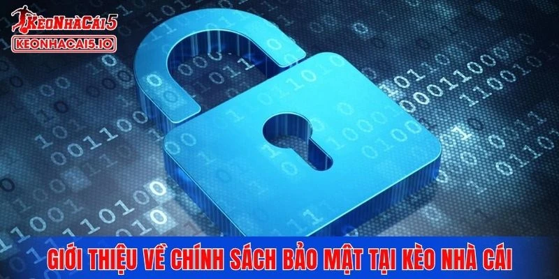 Giới thiệu về chính sách bảo mật tại Kèo Nhà Cái
