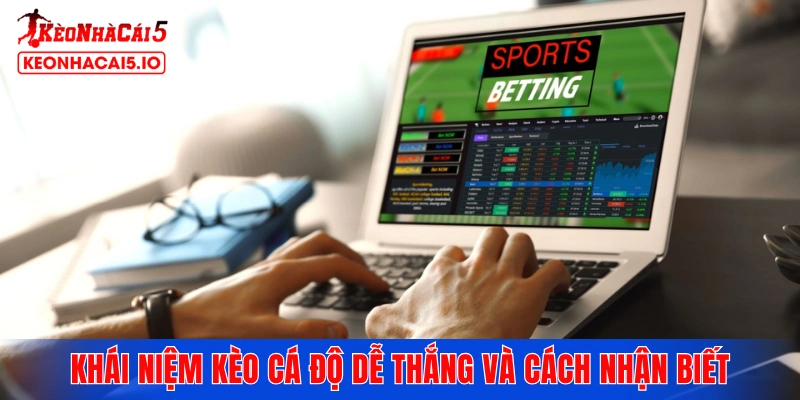 Khái niệm kèo cá độ dễ thắng và cách nhận biết