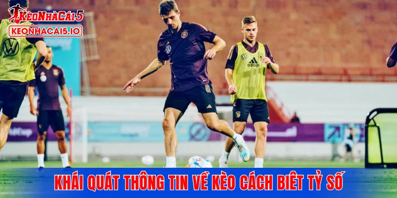 Khái quát thông tin về kèo cách biêt tỷ số