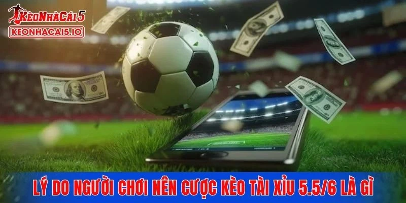 Lý do người chơi nên đặt cược kèo tài xỉu 5.5/6 là gì
