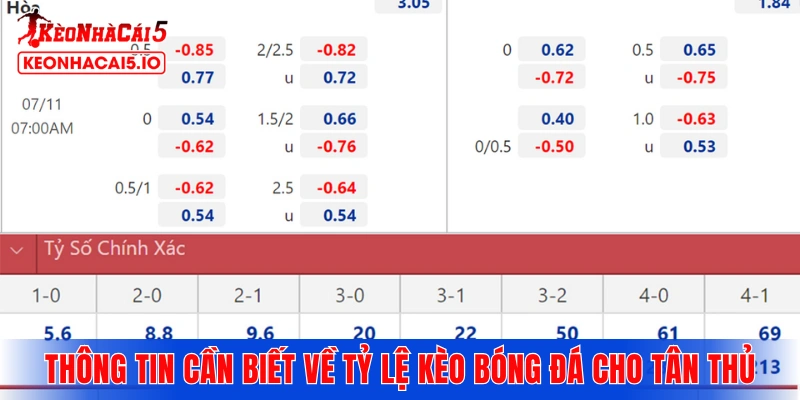 Thông tin cần biết về tỷ lệ kèo bóng đá cho tân thủ