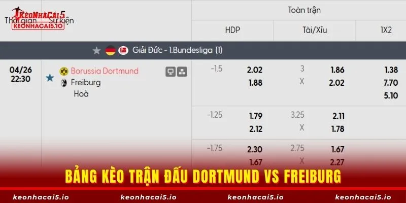 Bảng kèo trận đấu Dortmund vs Freiburg