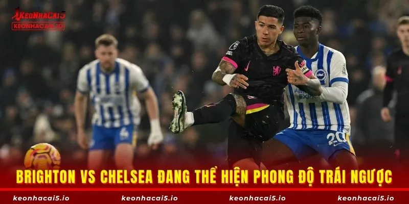 Brighton vs Chelsea đang thể hiện phong độ trái ngược